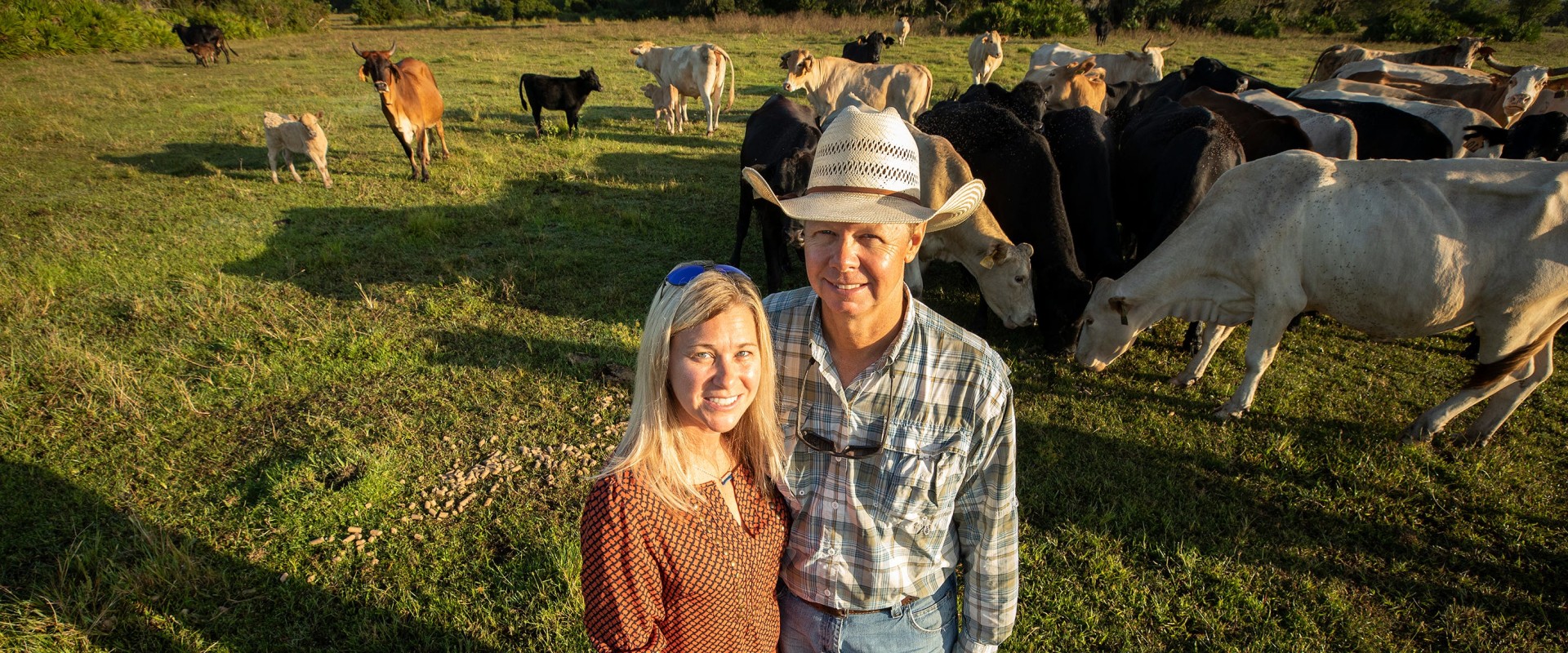 Showing Your Oklahoma Show Steer: Handling Tips for a Safe and Successful Experience