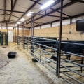 What is the Ideal Size for Show Steer Pens?