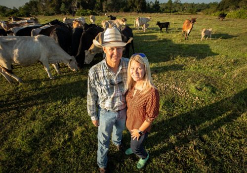 Showing Your Oklahoma Show Steer: Handling Tips for a Safe and Successful Experience